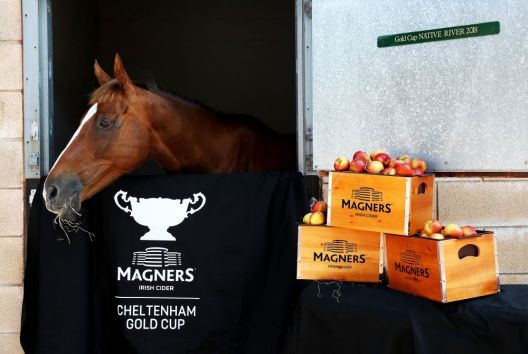 Magners first past the post with Cheltenham Gold Cup