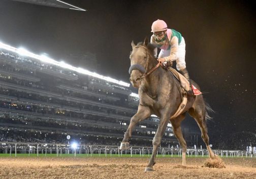 RMG strikes a two-year extension with the Meydan Group