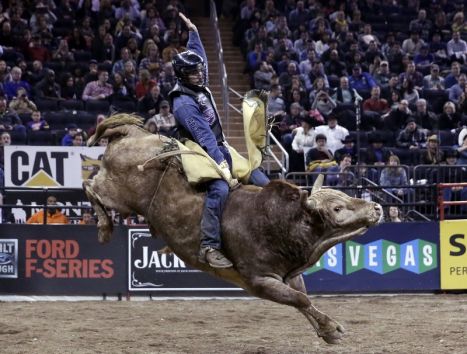 WME | IMG acquires Professional Bull Riders