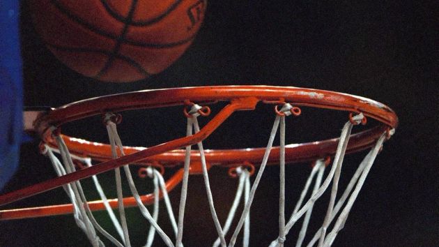 Rakuten pens Brose Bamberg deal