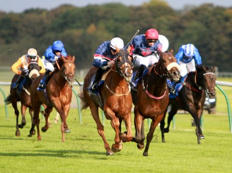 Saudi Arabia launching US$17 million horse racing event