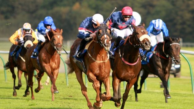 Saudi Arabia launching US$17 million horse racing event