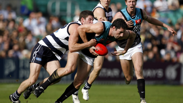 Port Adelaide net Haneco Lighting shirt sleeve sponsorship